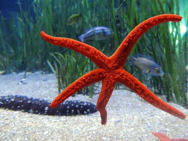  Finger Sponge:  An Underwater Gem With Striking Textures and Remarkable Filtration Abilities!