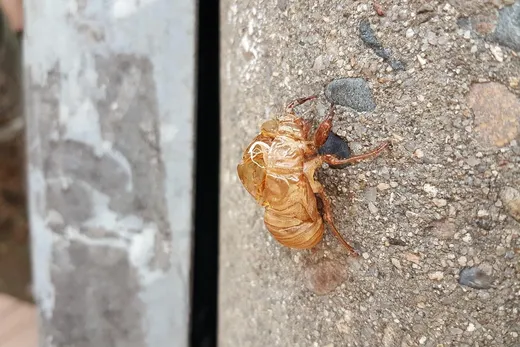 Peeling chemiczny - przewodnik krok po kroku